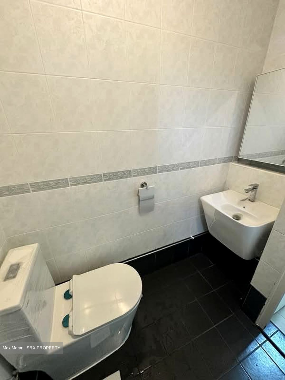 Eastern Lagoon (D15), Condominium #557218651